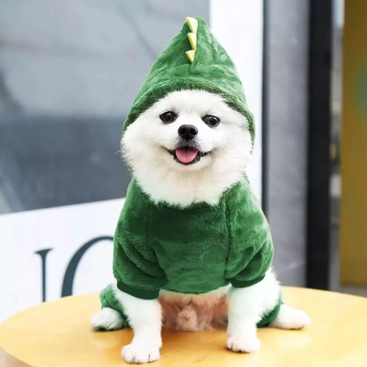 Casaco Pet Dinossauro com Capuz