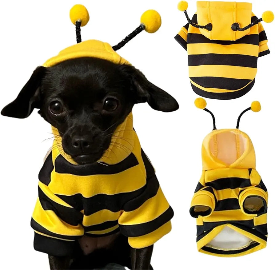 Fantasia Abelha para Cães e Gatos