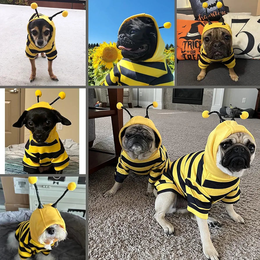Fantasia Abelha para Cães e Gatos