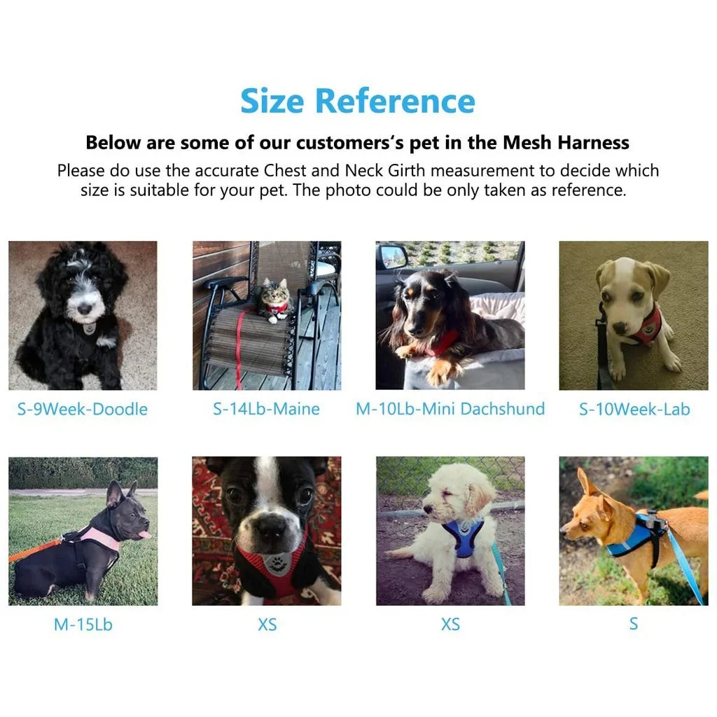 Coleira Peitoral Com Guia para Cães E Gatos Colete Respirável Regulável Super Confortável