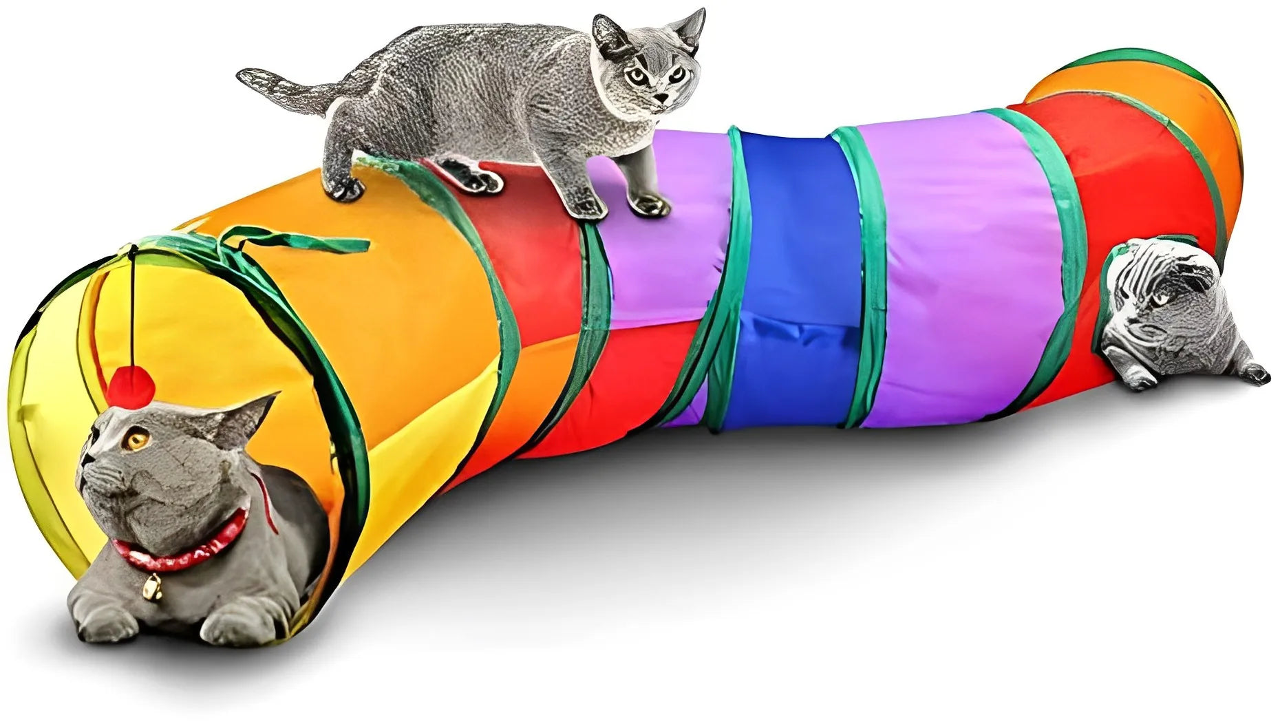 Brinquedo Túnel Labirinto Para Gatos