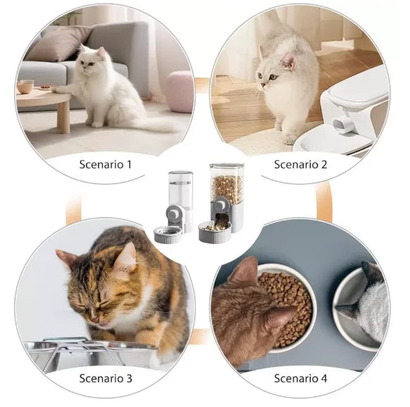 Alimentador Dispensador a 900ml Automático para Cães e Gatos Gaiola de Estimação