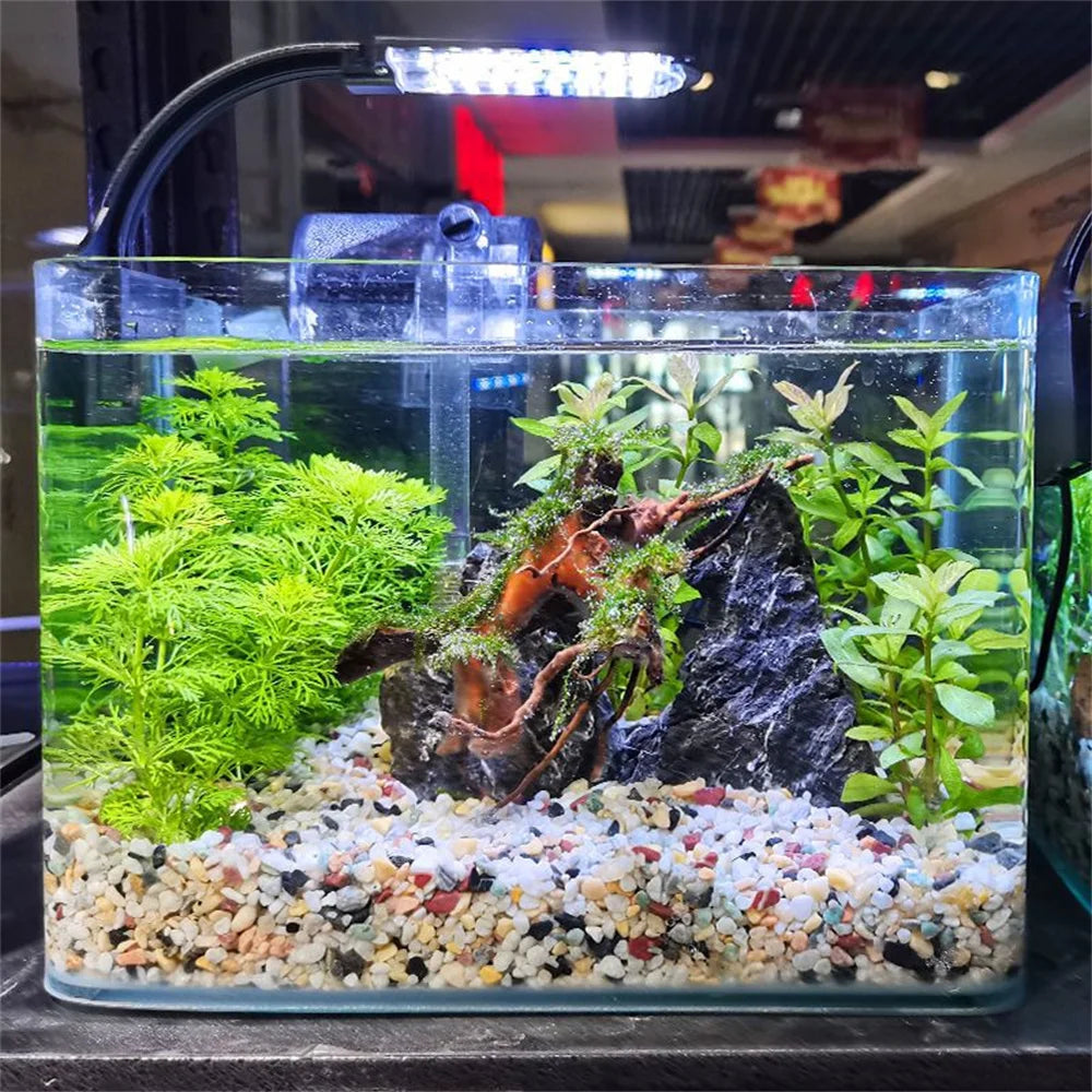 Cristais Naturais Decorativos 50g/100g