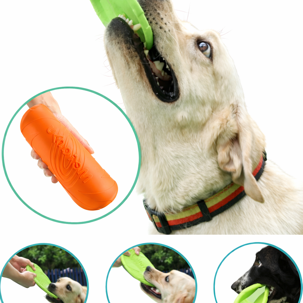 Frisbee Resistente para Cães