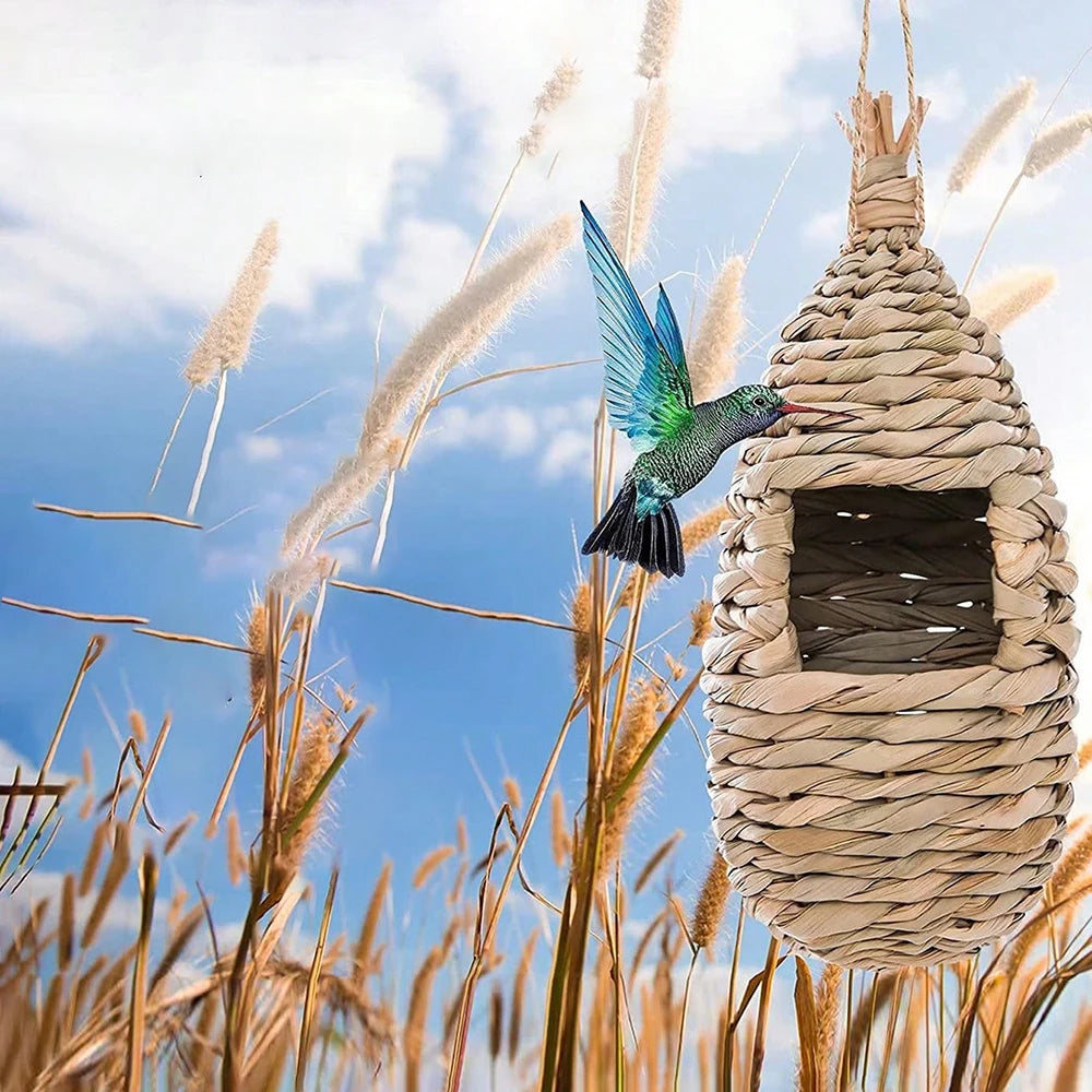 Ninho Decorativo para Aves