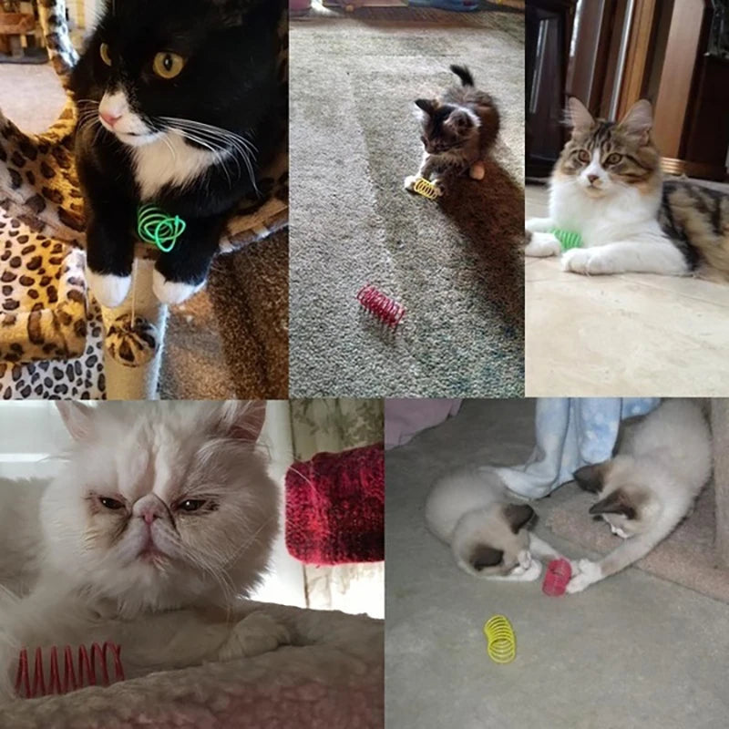 Molas Coloridas para Gatos