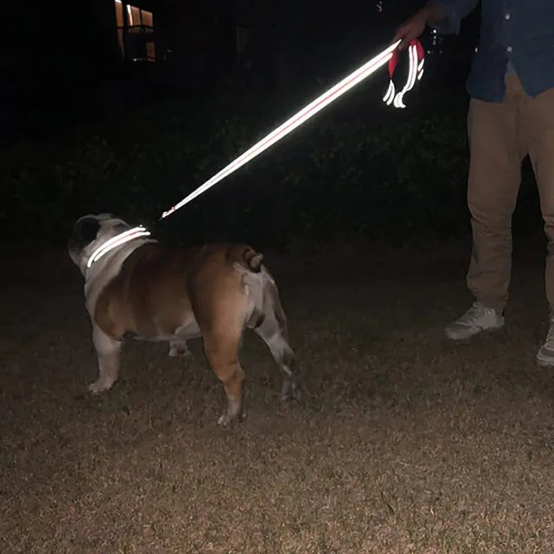 Coleira Refletiva para Cães e Gatos