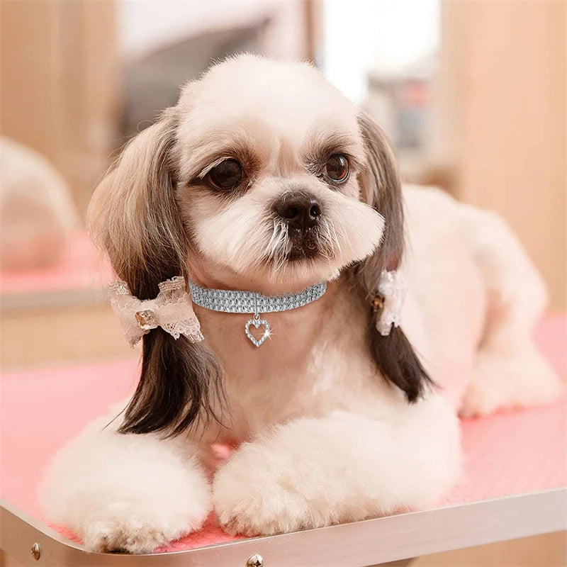 Coleira para Cães com Diamantes de Cristal – Elegância, Conforto e Brilho em Cada Passeio