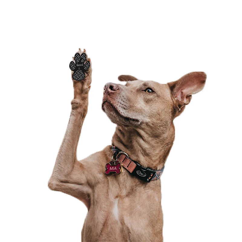 Almofadas Antiderrapantes 
Para Patas de Cães
