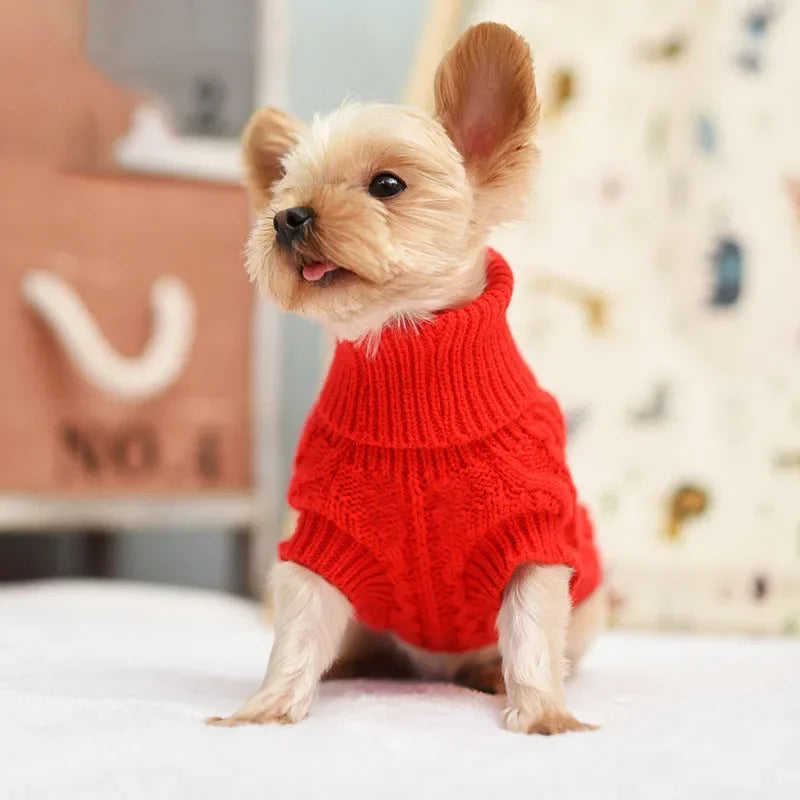 Roupa de Tricô para Pets