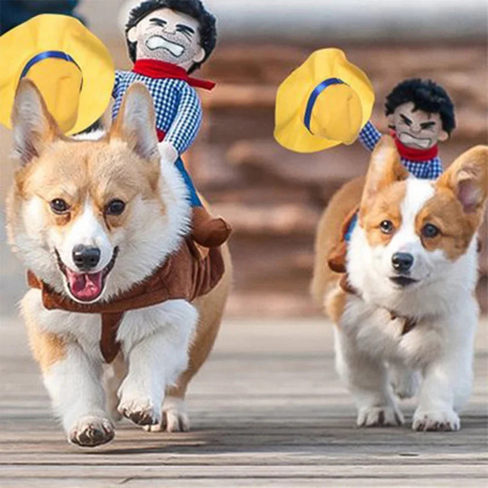 Fantasia Cowboy para Pets