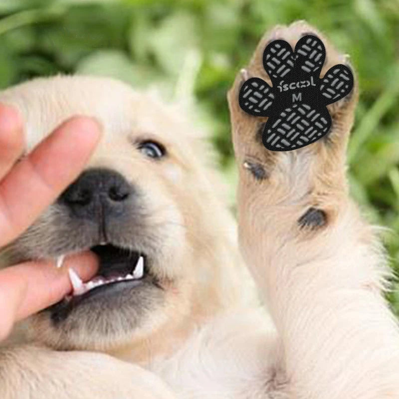 Almofadas Antiderrapantes 
Para Patas de Cães