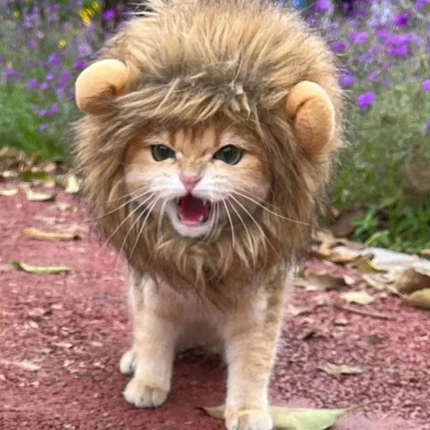Peruca de Leão para Pets