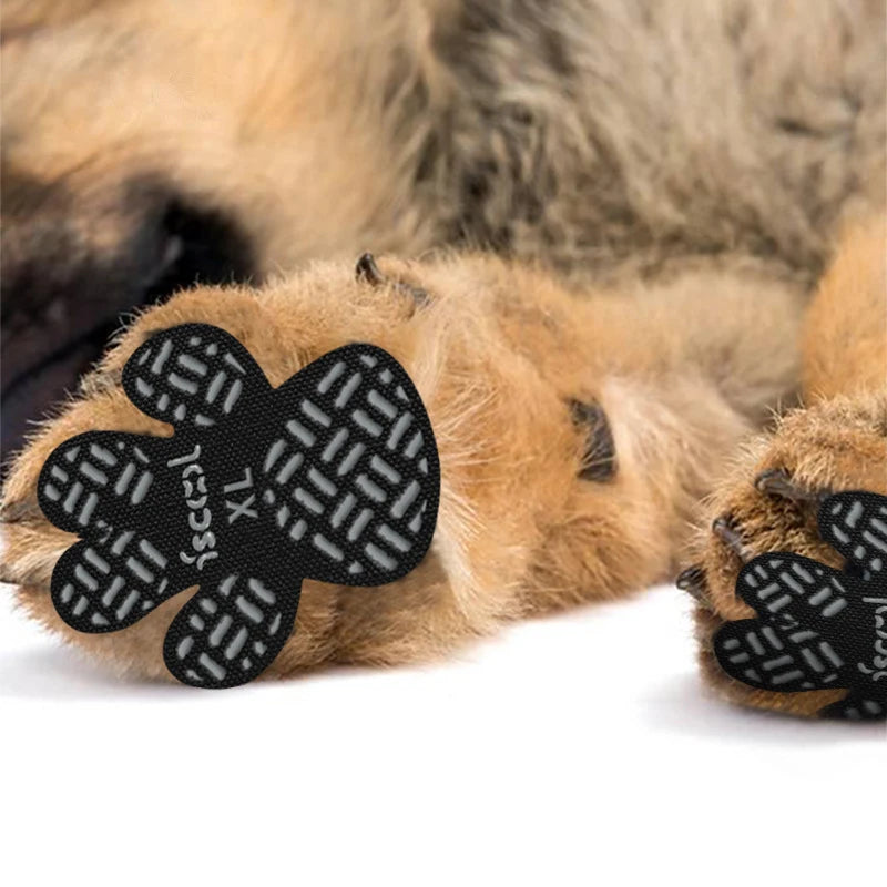 Almofadas Antiderrapantes 
Para Patas de Cães