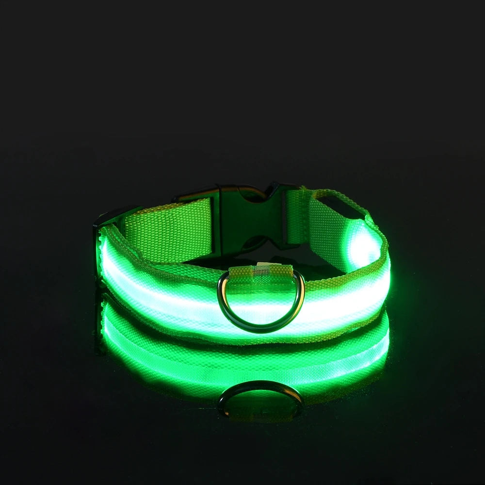 Coleira LED de Nylon para Cães