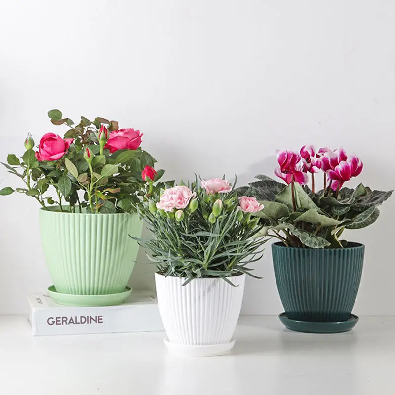 Vaso Redondo para 
Plantas com Bandeja