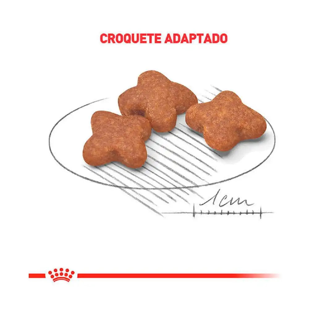 Ração Royal Canin Mini Adult 8+ para Cães Adultos de Pequeno Porte – 2,5kg