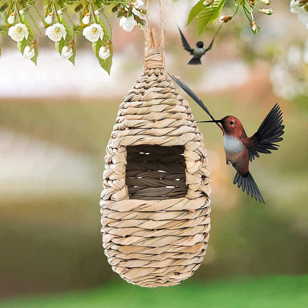 Ninho Decorativo para Aves