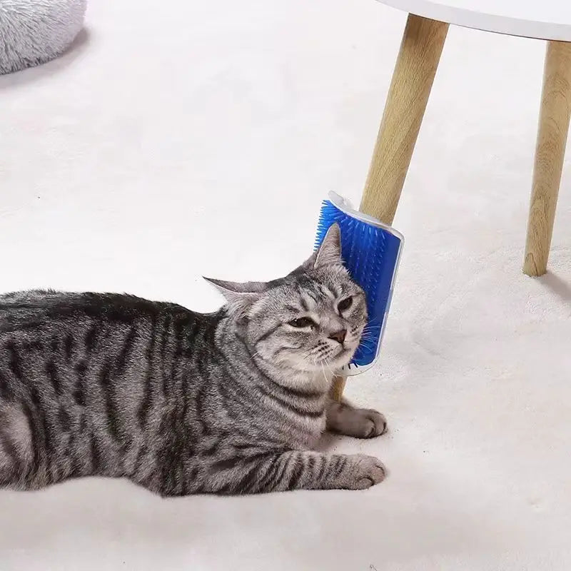 Escova Massageadora para Gatos