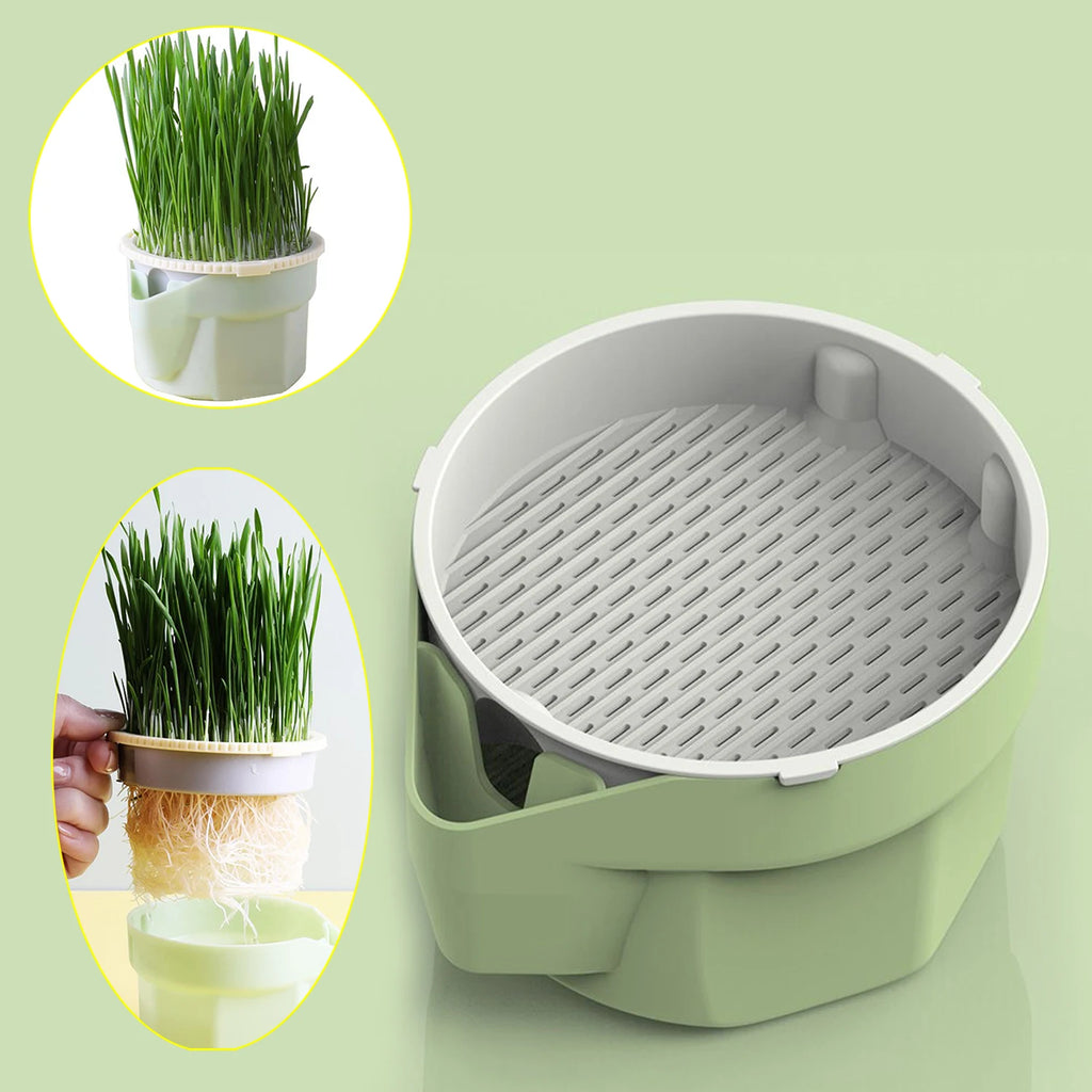 Copo para Plantio de Grama de Gato