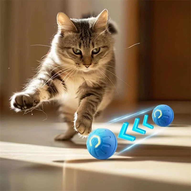 Bola que se Move Sozinha para Pets