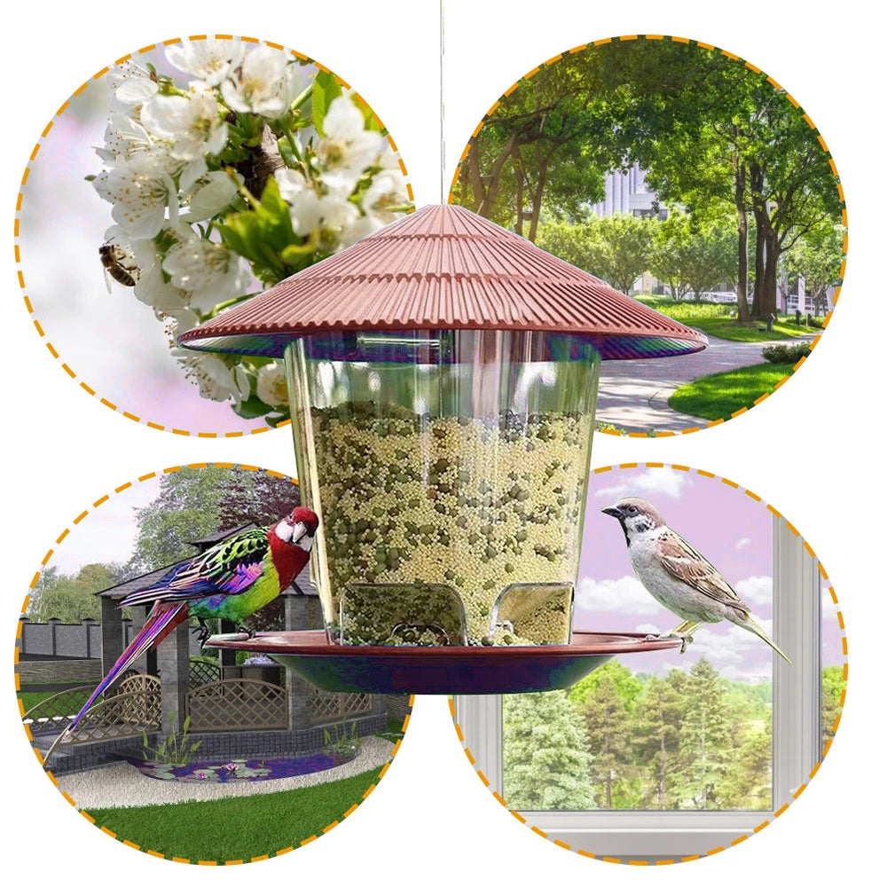 Comedouro Automático para Aves