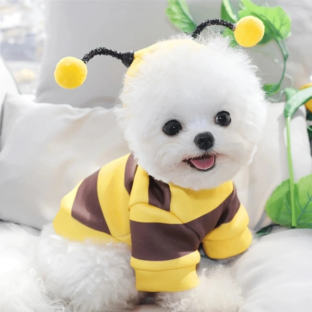 Fantasia Abelha para Cães e Gatos