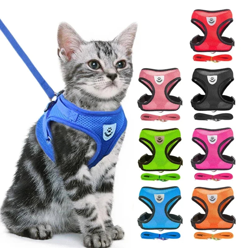 Arnês para Gato com Coleira de Passeio