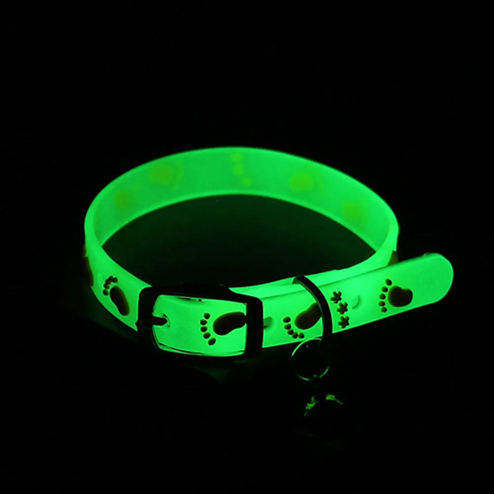 Coleira Luminosa para Gatos e Cães Pequenos