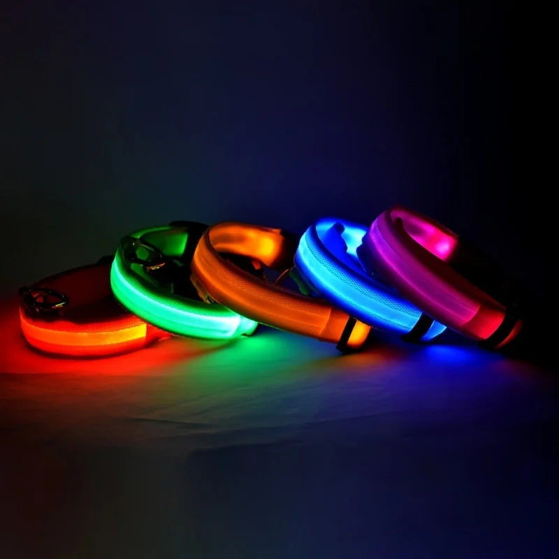 Coleira LED de Nylon para Cães
