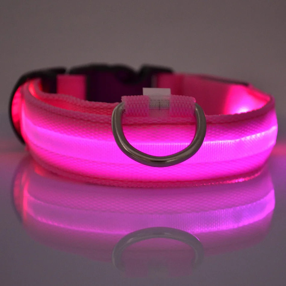 Coleira LED de Nylon para Cães