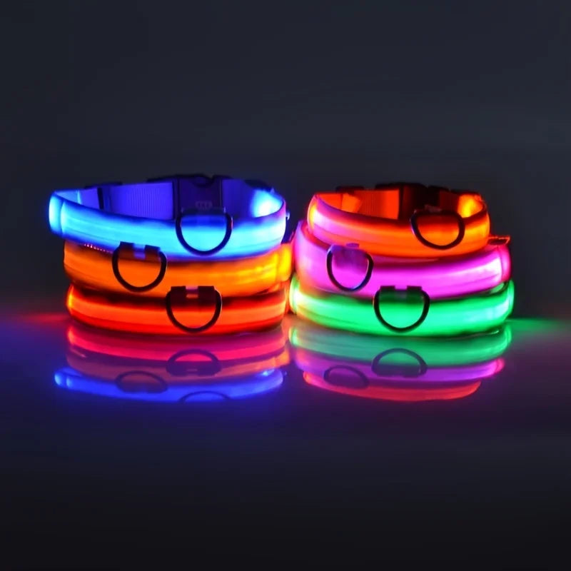 Coleira LED de Nylon para Cães