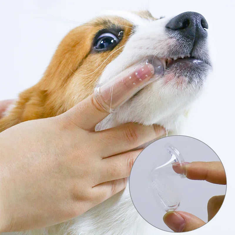 Escova de Dentes Pet Super Macia
