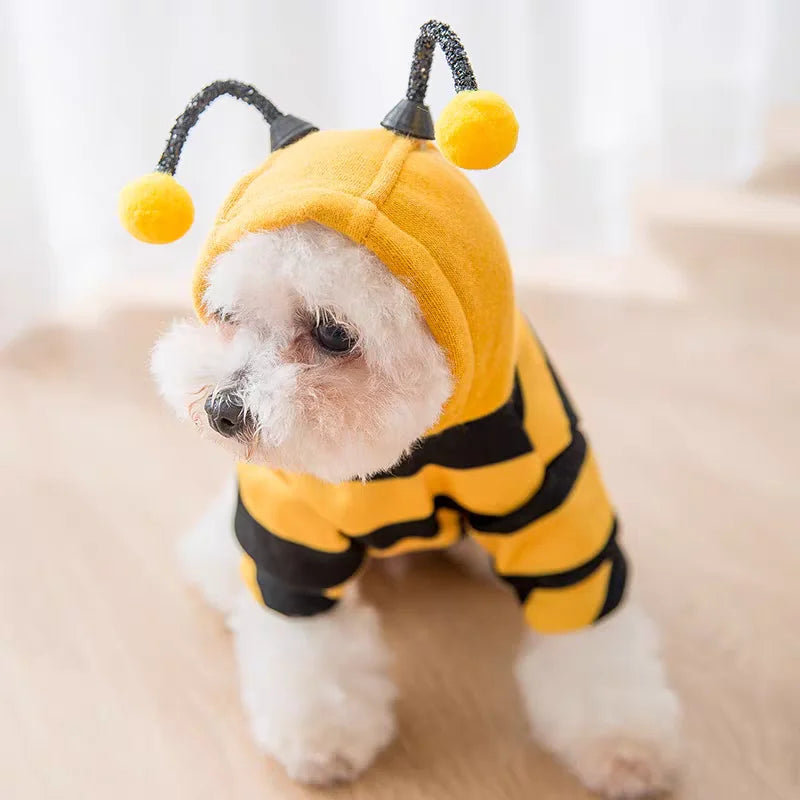 Fantasia Abelha para Cães e Gatos