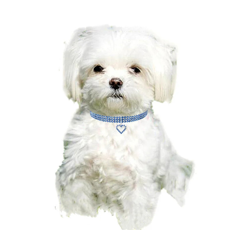 Coleira para Cães com Diamantes de Cristal – Elegância, Conforto e Brilho em Cada Passeio