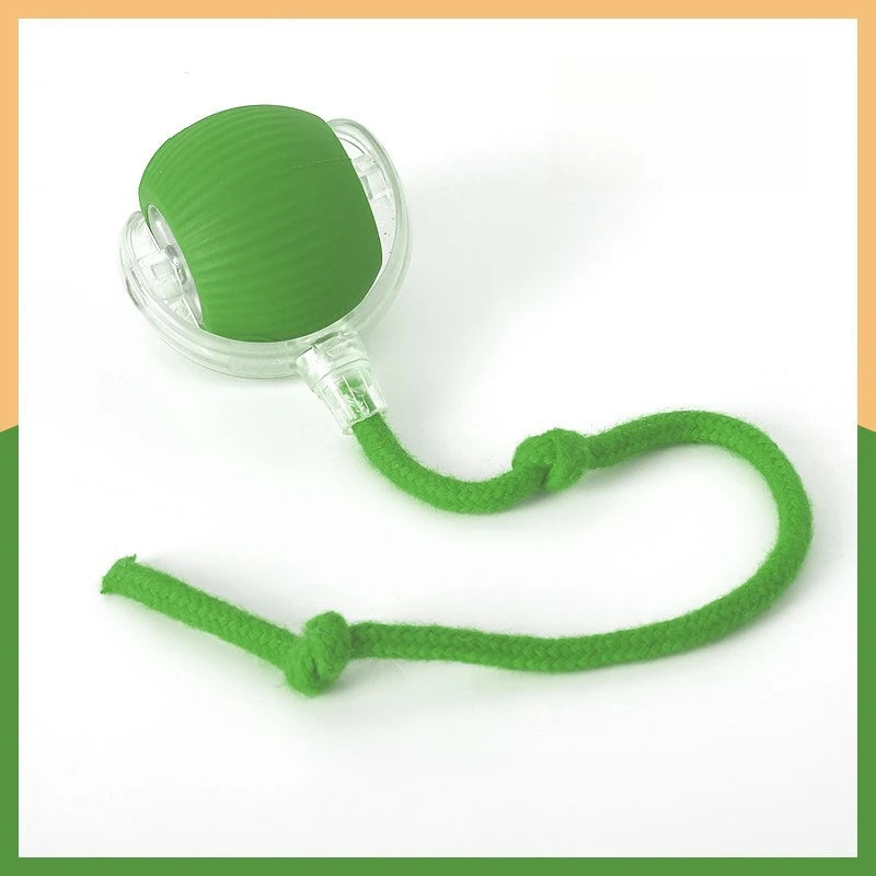 Bola com Corda para Pets