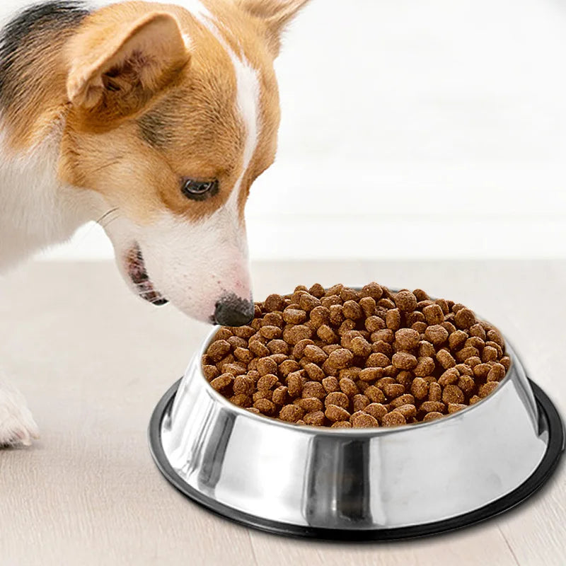 Tigela de Aço Inox para Pets