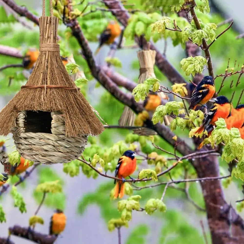 Casinha Natural de Palha Ecológica
