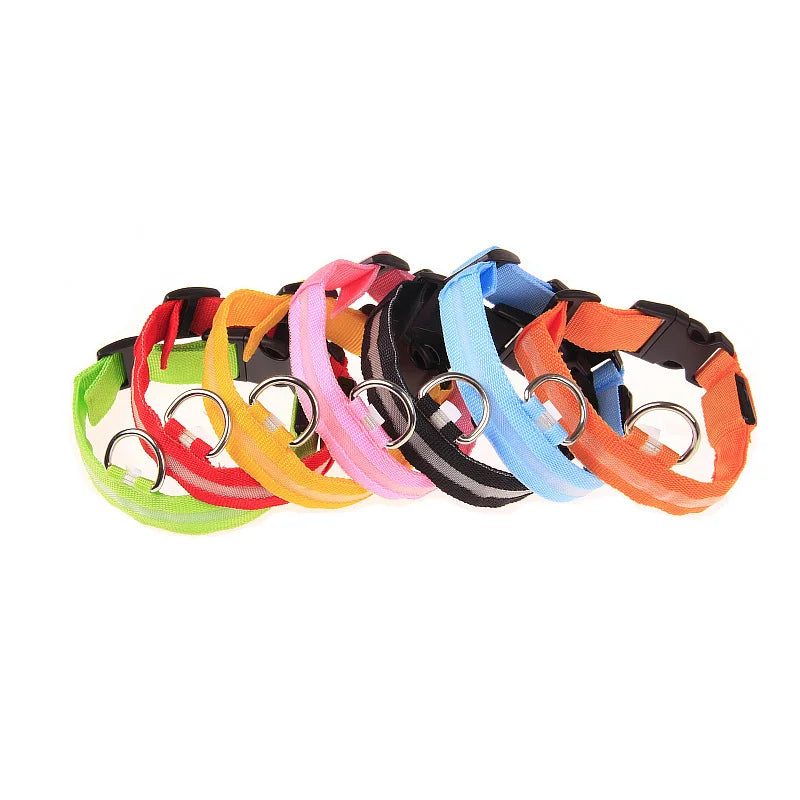Coleira LED de Nylon para Cães