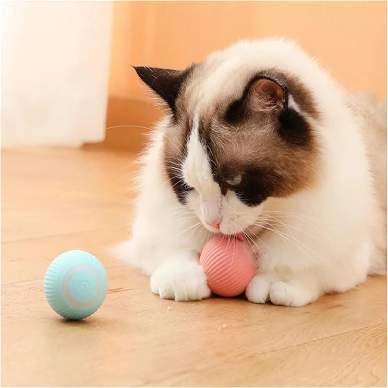 Bola que se Move Sozinha para Pets