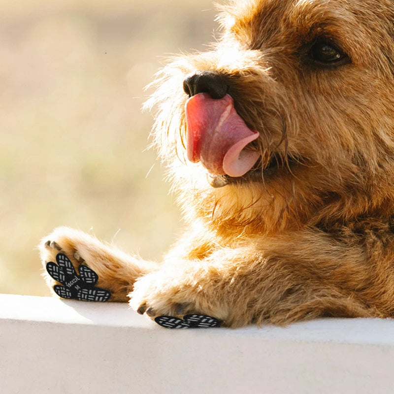Almofadas Antiderrapantes 
Para Patas de Cães