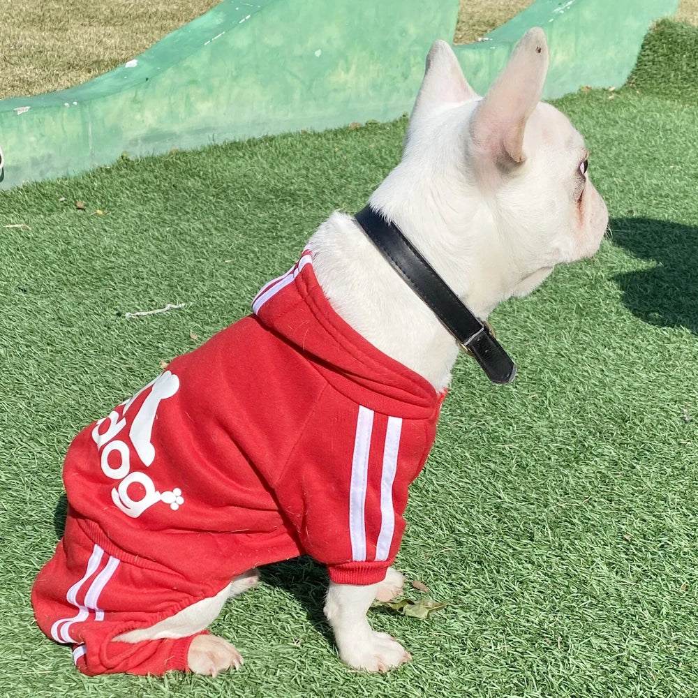 Moletom Clássico para Cães
