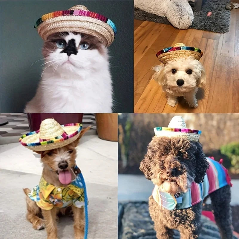 Chapéu Junino para Pets