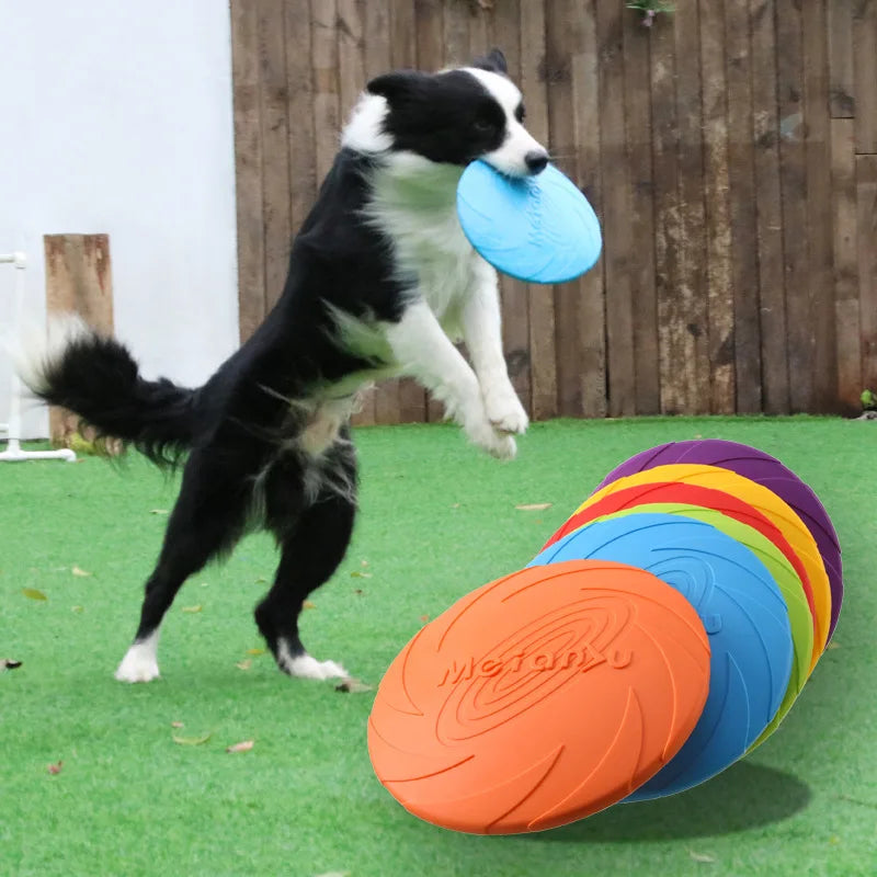 Frisbee Resistente para Cães
