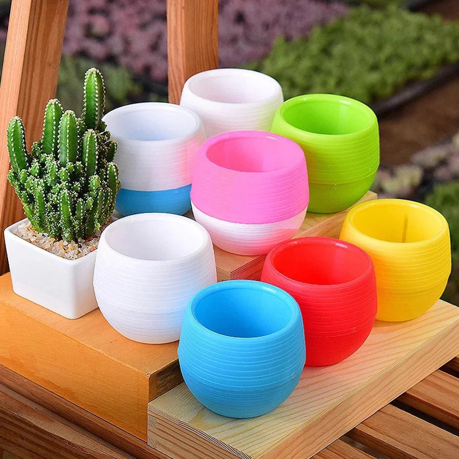 Kit Mini Vasos para 
Suculentas com Drenagem