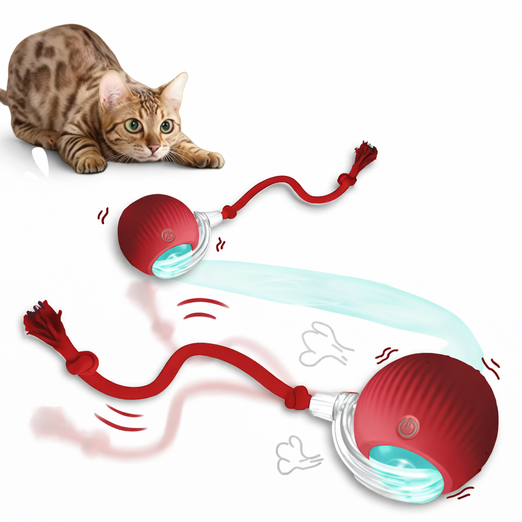 Bola com Corda para Pets