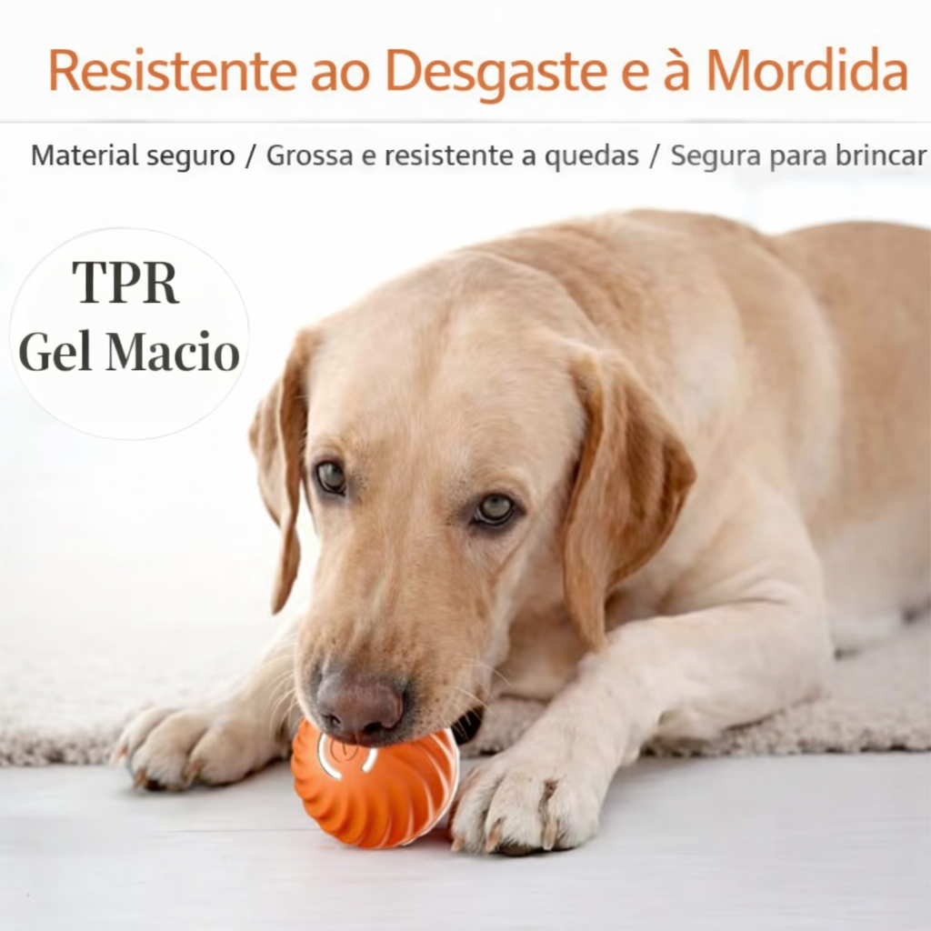 Bola que se Move Sozinha para Pets