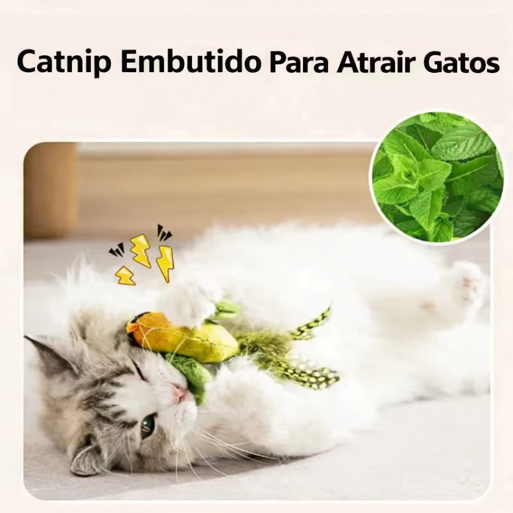 Brinquedo Pássaro Sonoro Interativo para Gatos