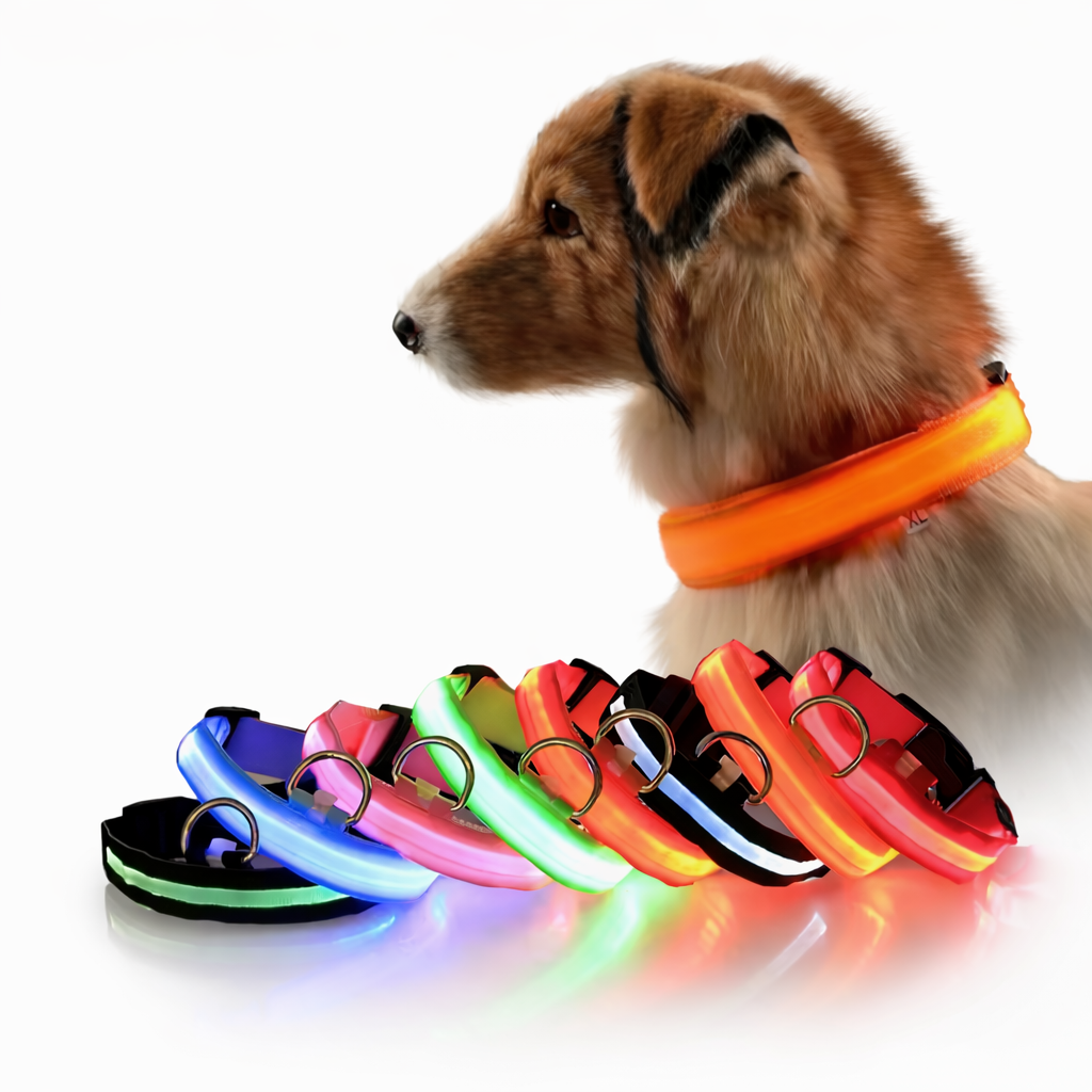 Coleira LED de Nylon para Cães