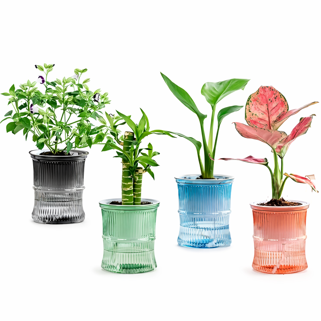 Vaso Autoirrigável Transparente